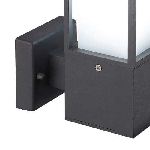 APPLICARE L'ESTERNO POINSETTIA E27 ANTR-CITA