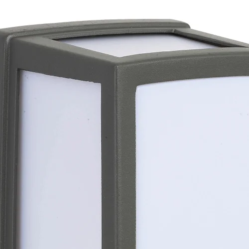 APPLICARE MOLLE DI PALMA LED ESTERNE 12W 4000K