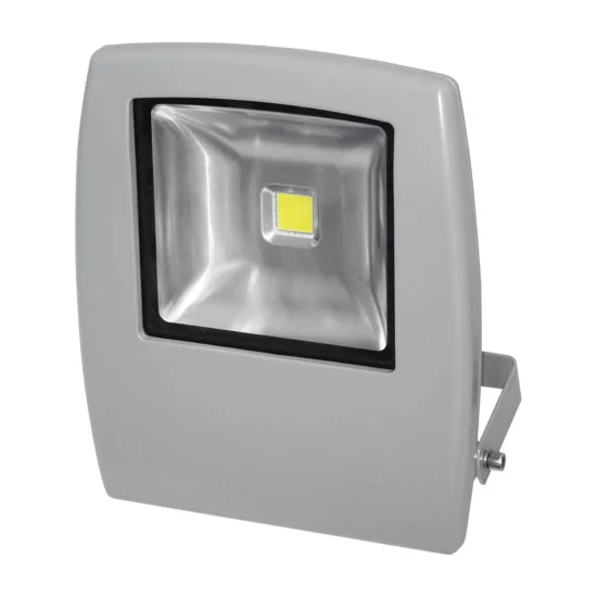 PROIETTORE LED MIAMI 30W 3000K ARGENTO