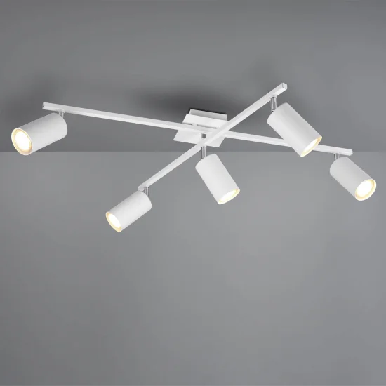 SOFFITTO BIANCO INNESTO 2