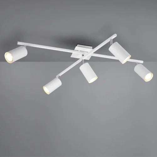 SOFFITTO BIANCO INNESTO