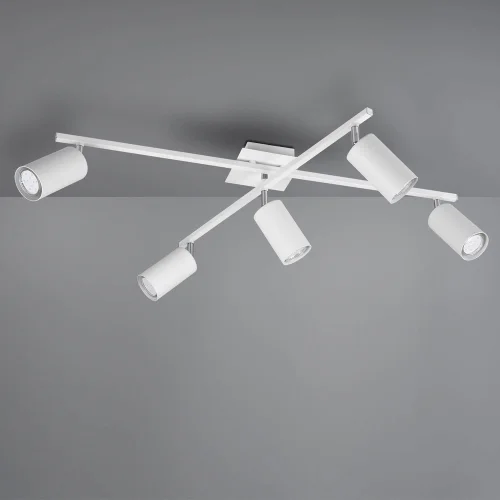 SOFFITTO BIANCO INNESTO