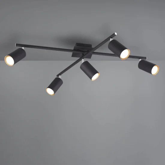 SOFFITTO INNESTO NERO SOFFITTO 2