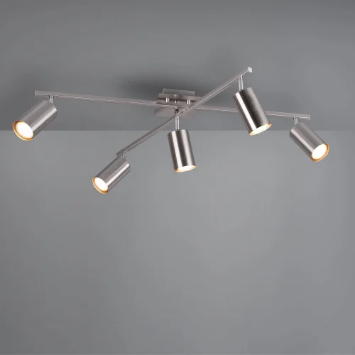 GRAFICO IN NICHEL OPACO SUL SOFFITTO DEL SOFFITTO