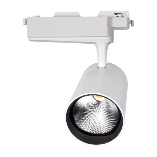 CORSIA DI MESSA A FUOCO HA PORTATO PANNO FAB 15W 4000K BIANCO