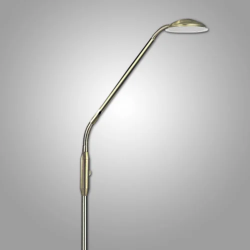 LAMPADA DA TERRA A LED MASSIMA 5W PAVONE