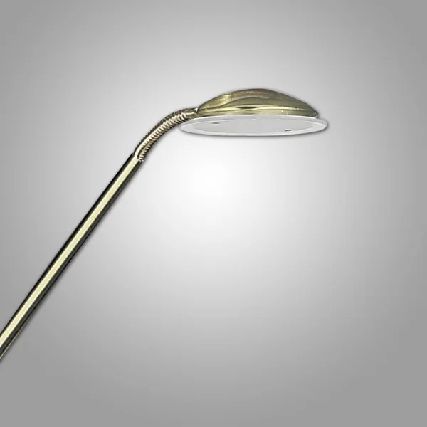 LAMPADA DA TERRA A LED MASSIMA 5W PAVONE