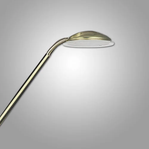 LAMPADA DA TERRA A LED MASSIMA 5W PAVONE