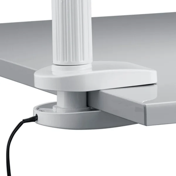 FLEXO BIANCO LENTE DI INGRANDIMENTO MORSETTO