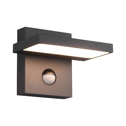 APLIQUE EXTERIOR LED 8 W 3000K ANTRACITA C/SENSOR IP54 BROMELIA APLIQUE EXTERIOR LED 8 W 3000K ANTRACITA C/SENSOR IP54 BROMELIA