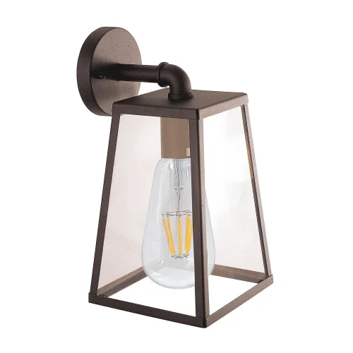 APPLICARE OSSIDO MARRONE AZALEA ESTERNA