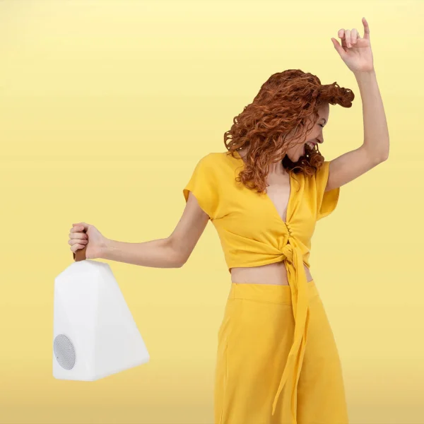 FARALAY RIPRODURRE LA LUCE E LA MUSICA