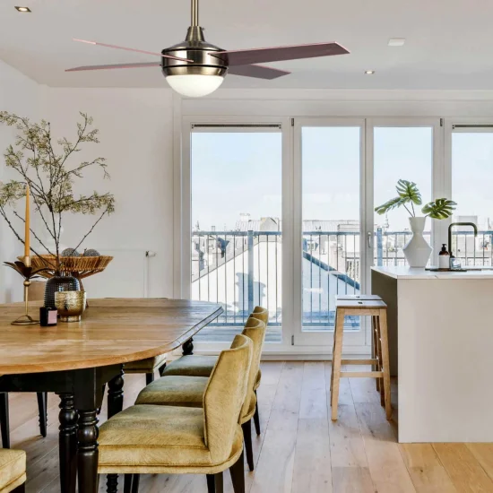 VENTILADOR DE TECHO LED LYNK CUERO 2