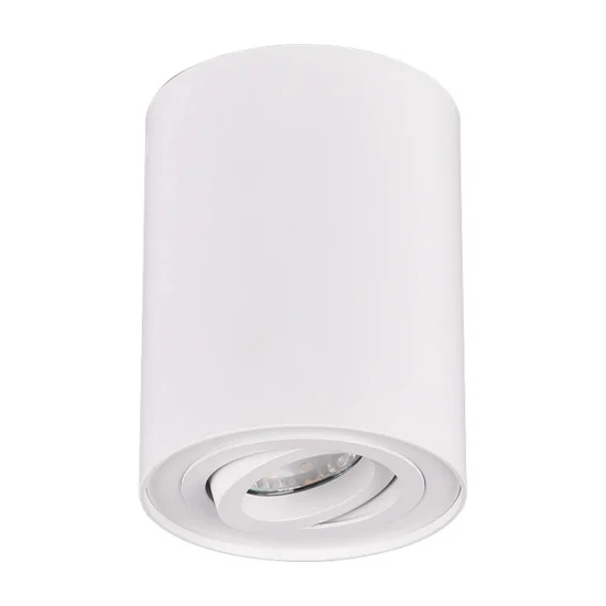 PLAFONIERA 1 LUCE BASCULANTE IN METALLO BIANCO GU10 FORTUNE 2