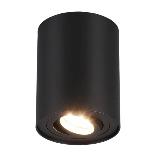 PLAFONIERA 1 LUCE BASCULANTE IN METALLO NERO GU10 FORTUNE
