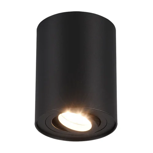 PLAFONIERA 1 LUCE BASCULANTE IN METALLO NERO GU10 FORTUNE