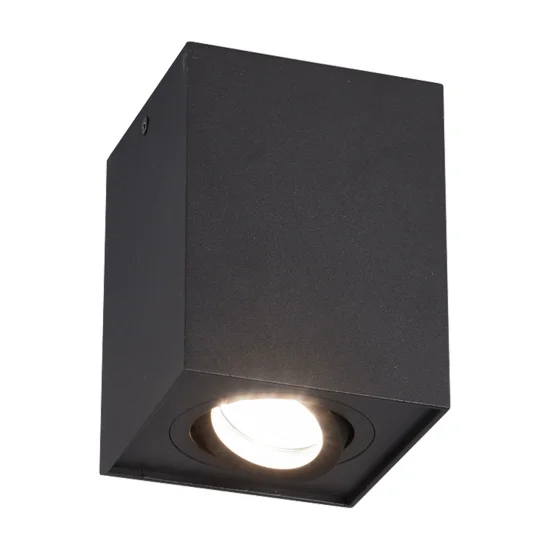PLAFONIERA 1 LUCE BASCULANTE IN METALLO NERO GU10 GARIBALDI