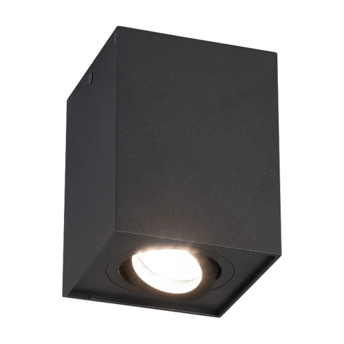 PLAFONIERA 1 LUCE BASCULANTE IN METALLO NERO GU10 GARIBALDI