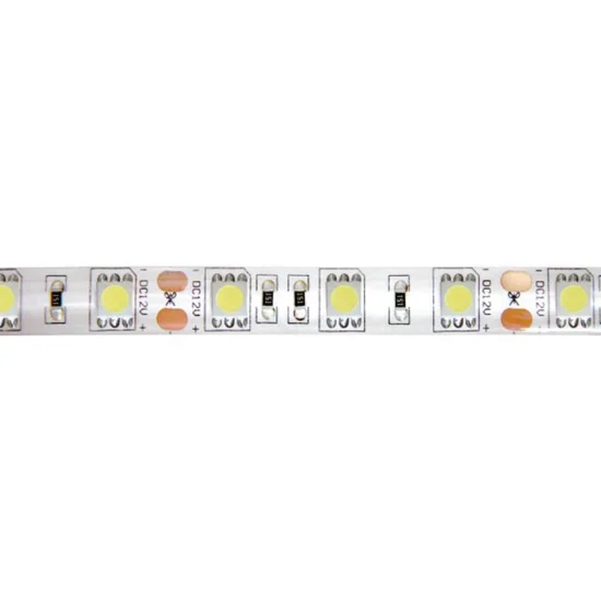 STRISCIA LED 12V DC 15W 60LED 1M LUCE BIANCA 6500K IP44 2