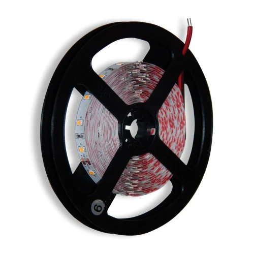 STRISCIA LED 24V DC 9,6 W 60LED 1M LUCE BIANCA 6500K IP20