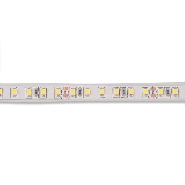 STRISCIA LED 24V DC 19 W 120LEDS 1M LUCE BIANCA 6500K IP65