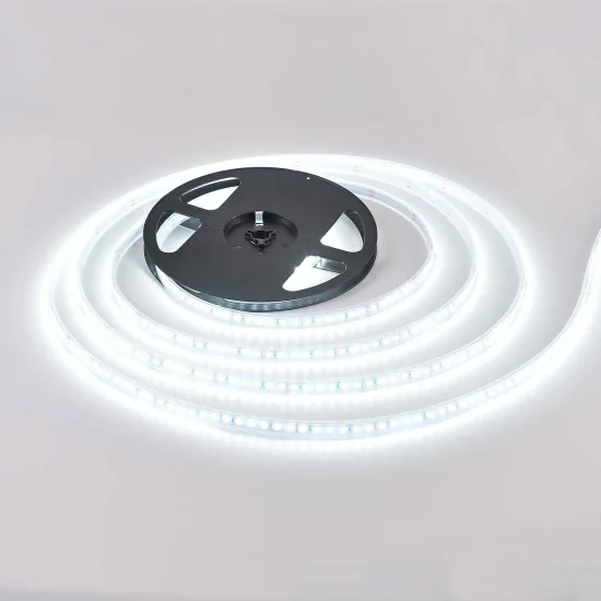 STRISCIA LED 24V DC 19 W 120LEDS 1M LUCE BIANCA 6500K IP65