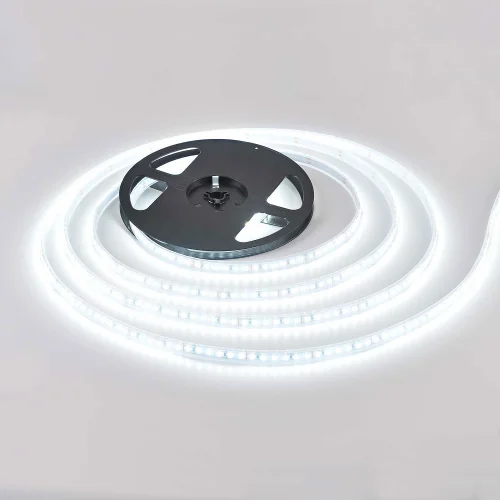 STRISCIA LED 24V DC 19 W 120LEDS 1M LUCE BIANCA 6500K IP65