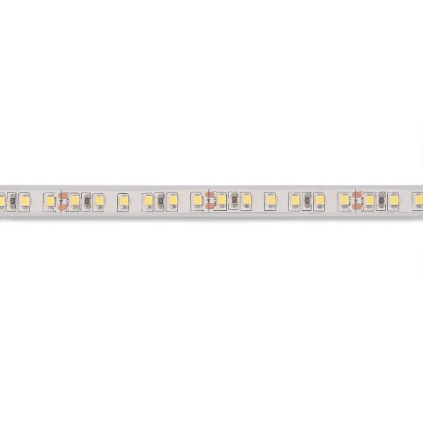 STRISCIA LED 24V DC 19 W 120LEDS 1M LUCE BIANCA 6500K IP65