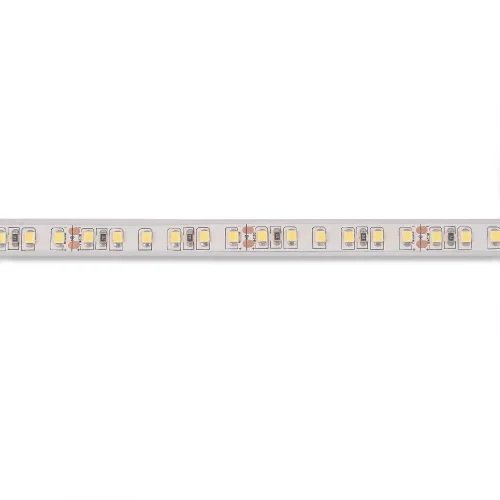 STRISCIA LED 24V DC 19 W 120LEDS 1M LUCE BIANCA 6500K IP65