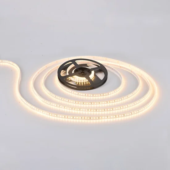 STRISCIA LED 24V DC 19 W 120LEDS 1M LUCE BIANCA 2700K IP65