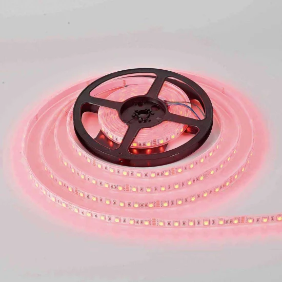 STRISCIA LED 24V DC 15W 60LED 1M RGB IP65 2