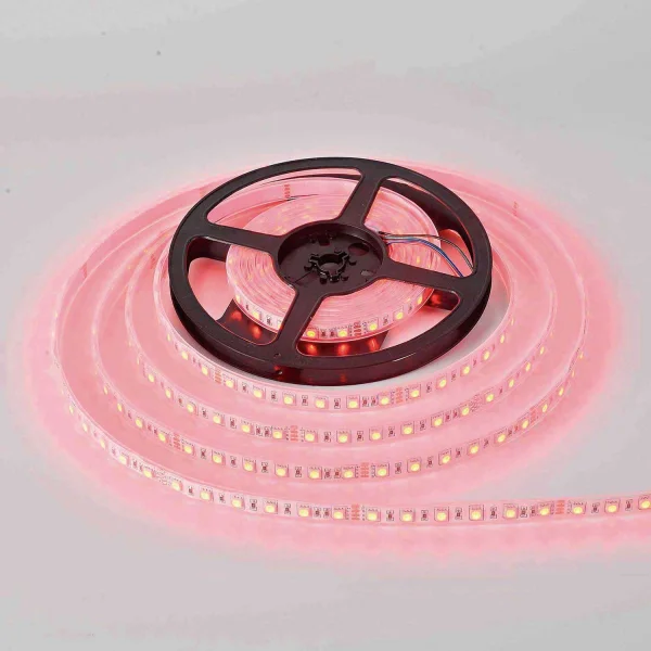 STRISCIA LED 24V DC 15W 60LED 1M RGB IP65