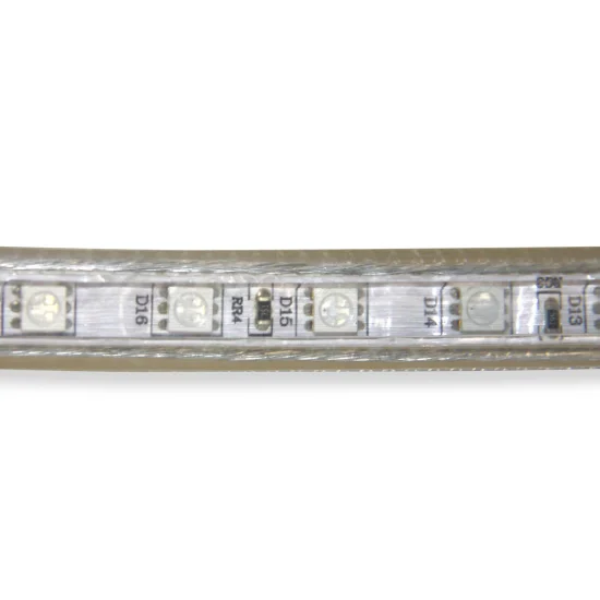 STRISCIA LED 220V AC 14,4 W 60LEDS 1M RGB IP65 2