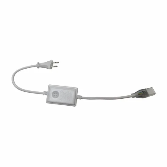 CONTROLLER/RETTIFICATORE DI POTENZA 220V CON SPINA RGB FINO A 30M