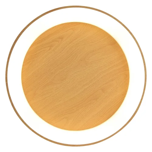 PLAFONIERA LED DIMMERABILE CON MANOPOLA DI CONTROLLO IN IMITAZIONE LEGNO HARALD