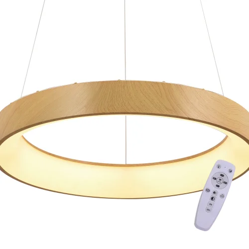 LAMPADA DA SOFFITTO LED DIMMERABILE CON MANOPOLA DI CONTROLLO IMITAZIONE LEGNO HARALD