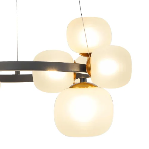 LAMPADA DA SOFFITTO 11 LUCI FERRO NERO CON PARALUME BIANCO NICOLETTA