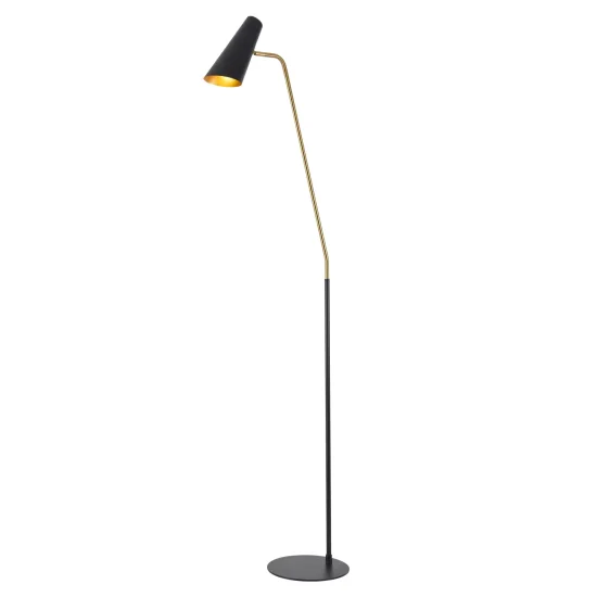 LAMPADA DA TERRA ACCIAIO DORATO/BAILEY NERO