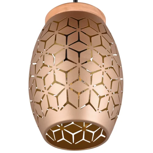 SOSPENSIONE DA SOFFITTO 1 LUCE METALLO CAFFÈ E27 BIRKITA