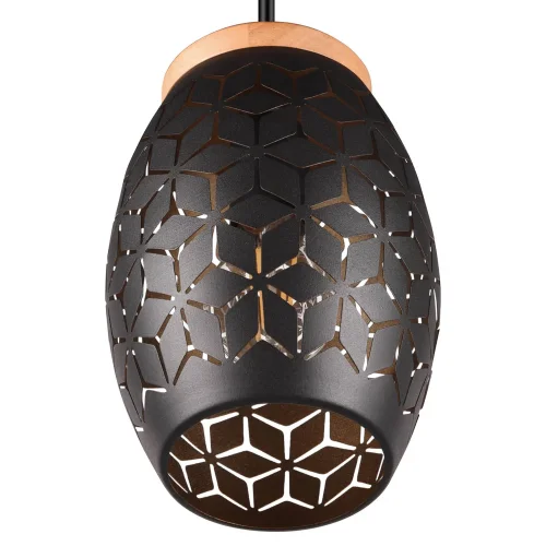 SOSPENSIONE A SOFFITTO 1 LUCE METALLO NERO E27 BIRKITA