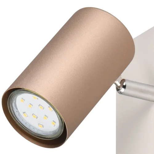 SPOT DA SOFFITTO/PARETE METALLO COFFEE/GRIGIO GU10 GRAFTON