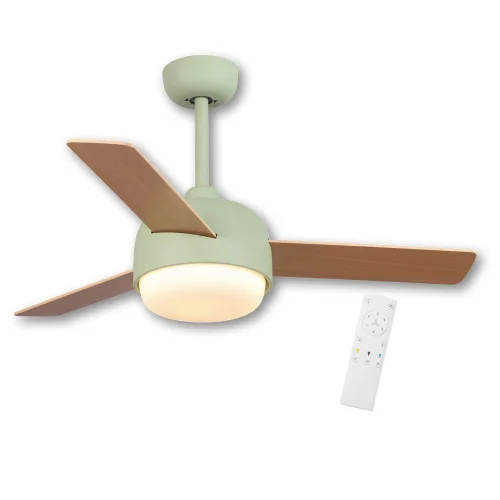 VENTILATORE DA SOFFITTO CON LUCE 24 W MOTORE DC 3 PALE VERDE/LEGNO RIVERDALE VENTILATORE DA SOFFITTO CON LUCE 24 W MOTORE DC 3 PALE VERDE/LEGNO RIVERDALE