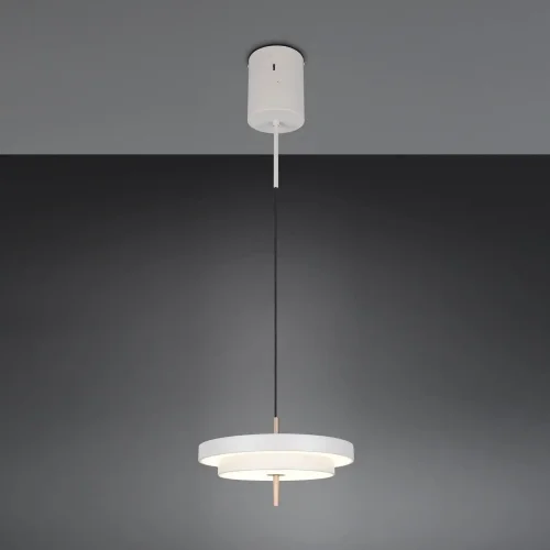 LAMPADA A SOSPENSIONE LED 34,5W REGOLABILE 2300-3000-4000K GRIGIO CALDO ELIX