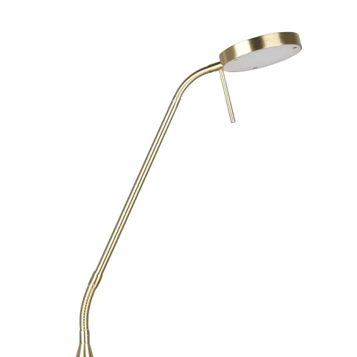 LAMPADA DE TERRA LED 12W REGOLABILE BRONZO OPACO EDEN