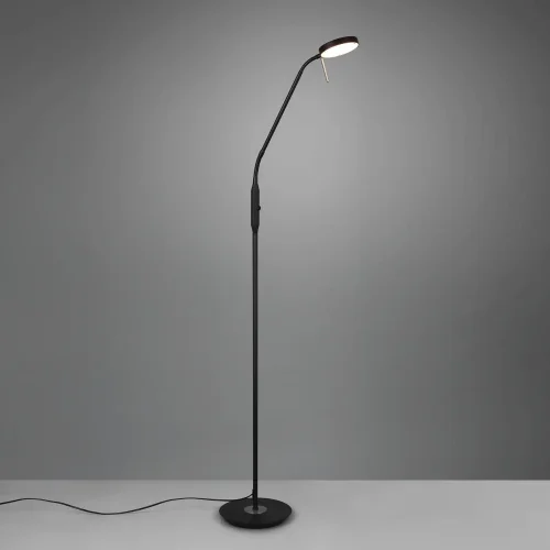 LAMPADA DA TERRA LED 12W REGOLABILE NERO EDEN