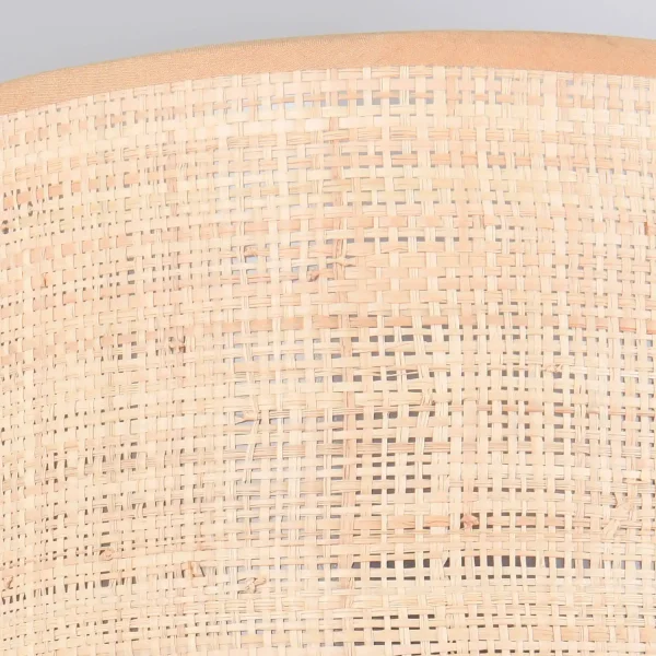 APPLIQUE DA PARETE CON PARALUME IN ALGHE MARINE E27 TERESA