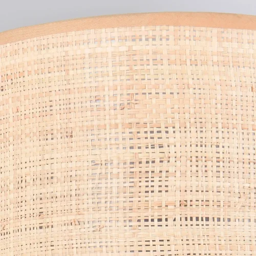 APPLIQUE DA PARETE CON PARALUME IN ALGHE MARINE E27 TERESA