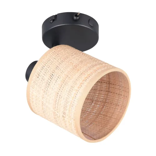 FOCO 1 LUCE CON PARALUME IN ALGHE MARINE E14 TERESA