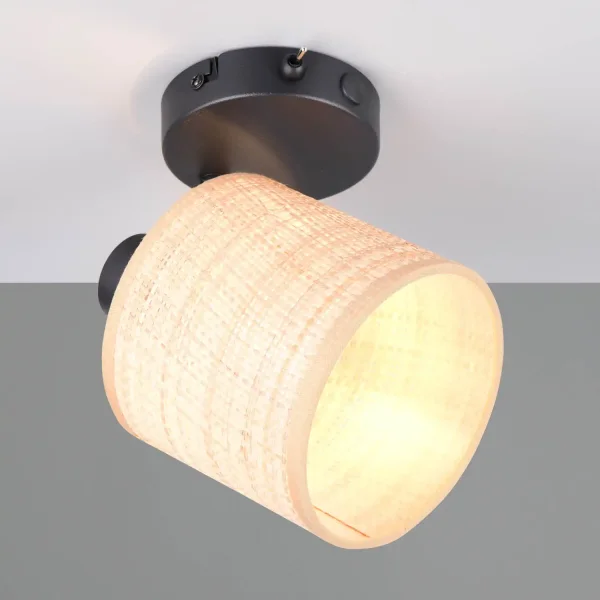 FOCO 1 LUCE CON PARALUME IN ALGHE MARINE E14 TERESA