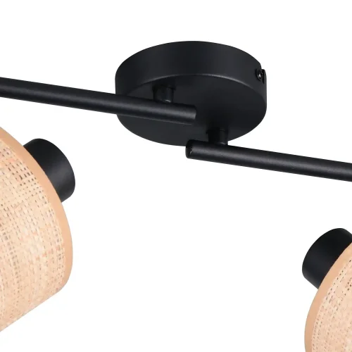 FOCO 4 LUCI CON PARALUMI IN ALGHE MARINE E14 TERESA